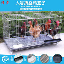 鸡笼养鸡笼家用蛋鸡笼大号家禽养殖笼折叠鸡笼子鸡鸭笼兔笼 云南 不带轮加粗70*50*60cm