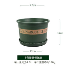 南叶家用绿植盆栽桌面花盆多肉植物圆形种菜盘草莓盆托盘月季盆加仑盆 CS-3号矮胖加仑盆（含托盘）