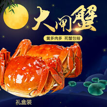 【活蟹】大闸蟹鲜活六月黄公母特大礼盒装 罗菲迪新 大闸蟹(1.8-2.2两)10只