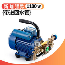 园林打药机电机柱塞泵农药机家用220V电动农用果树电动喷雾器高压 打药机(带回水管1100W)
