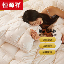 恒源祥家纺 大牌捡漏 希尔顿五星级酒店枕头单人白鹅绒枕芯一对家用助眠护颈枕高档羽绒枕芯 白色 白色1只【低枕】