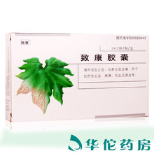 致康 致康胶囊 24粒/盒 3盒