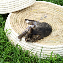 草编猫窝狗窝元宝鸡窝宠物四季通用特大号玉米皮猫咪用品抓板碗形 55CM草编窝 裸窝