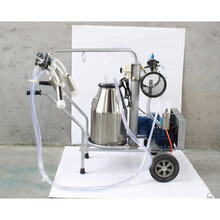 家用电动真空脉动脉冲奶牛挤奶机奶羊挤奶器吸奶机器牛羊用挤奶机 不锈钢单桶中配牛用