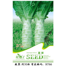 莴笋 空心菜 紫根韭菜 大葱 香葱 甘露子 虾夷葱 青蒜种子 葱蒜籽 蔬菜种子 莴笋