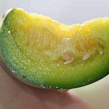 寿禾 香如蜜火腿甜瓜种子 汁如蜜糖超香特甜香瓜阳台四季种菜盆栽香瓜种籽羊角蜜 哈密瓜网纹瓜春季播种 绿宝石甜瓜种子 30粒/袋