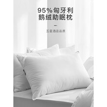 羽绒枕芯五星级酒店专用枕头 希尔顿五星级酒店枕头95枕芯单人家用护颈椎助睡眠专用 经典白标准款(48*74cm)中枕