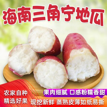 （精选农品）海南澄迈地瓜 沙地紫皮富硒三角宁地瓜 板栗番薯 5斤 精品果（单果2-5两）