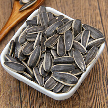 寿禾 向日葵种子可食用苗矮向日葵油葵盆栽观赏食用油葵花卉种籽葵花籽阳台种植太阳花瓜子种四季春季种苗 黑三道眉【大粒食用葵】种子20g