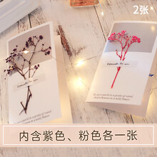 巧心师 贺卡迷你创意干花满天星生日明信片祝福卡片七夕情人节礼物送老婆同学迷你花束明信片2张装