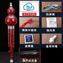 胶木耐摔葫芦丝初学者中小学生c调大人降b调乐器 仿木红C调【礼包+皮盒