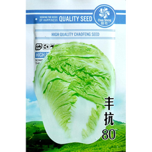 高产丰抗80白菜种子秋季新北京三号大白菜籽抗病农家大田蔬菜种子 丰抗80约10g1包