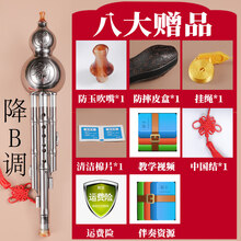 葫芦丝盒子成人 装葫芦丝的外壳保护盒套袋子包装袋c调学生 降B调-闪亮银【三代升级-可拆吹嘴】八大