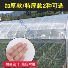 防蚊虫窗纱网尼龙纱网布防蚊纱网纱网布塑料防虫网养殖网蚂蚱网 白色特厚3米宽 1x1m