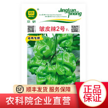 北京农科院京研绿色薄皮皱皮辣椒蔬菜种子 四季播种非转基因种籽 家庭阳台园艺庭院室内外盆 皱皮辣2号50粒1袋