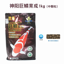 神阳巨鳞红白三色增体鱼粮锦鲤鱼饲料增色鱼食观赏鱼饲料浮上颗粒 巨鳞育成 1KG 中颗粒#