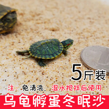 乌龟专用细沙龟沙产卵冬眠孵化下蛋爬宠鱼缸底砂造景水草装饰沙子 乌龟沙5斤