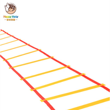 幼儿园早教儿童感统器材体能训练跳房子户外亲子玩具跳格子敏捷梯 敏捷梯（4米8节）