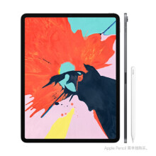 【二手99新】苹果iPad Pro11英寸平板电脑 新款pro 256G WiFi版 银色+普通配件