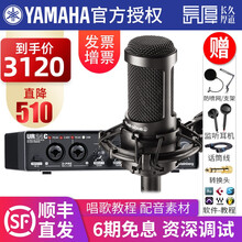 YAMAHA雅马哈声卡UR24C UR22C专业录音配音编曲设备 手机电脑直播K歌套装USB音频接口 UR24C搭配铁三角 AT2050套餐