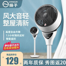 扬子（YANGZI）电风扇空气循环扇智能遥控风扇家用卧室客厅大风量落地扇台扇两用低音摇头净化循环扇 冰川白遥控款【台扇+落地扇两用】
