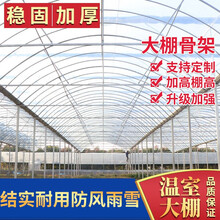 625/825型大棚骨架蔬菜大棚温室钢架大棚热镀锌钢管养殖多肉大棚 8*10米高配卷膜版含膜