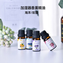 闹闹熊 加湿器卧室办公室香薰空气加湿车载迷你增湿器婴儿家用上加水宿舍大喷雾补水空调房 2瓶【海洋+玫瑰】加湿器香薰精油