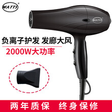 WATTS电吹风机发廊家用大功率低辐射负离子强风快干陶瓷红外线恒温吹风筒 HD-101黑色
