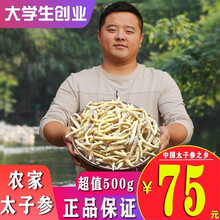 太子参500g农家自种孩子参精选新货贵州黔东南镇远县特产镇有心意自然晾晒无硫太子参儿童煲汤药材孩子参 农家自晒太子参新货250g
