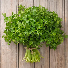 寿禾 农家小叶香菜种子芫荽蔬莱籽种籽传统佐料型阳台四季播盆栽摩西香芹欧芹春冬季播种蔬菜种孑菜籽种苗 传统老香菜大叶香菜种子 50g