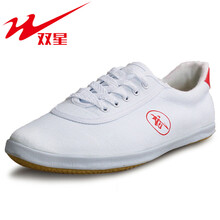 双星运动鞋男女武术鞋牛筋底帆布鞋儿童运动鞋练功鞋太极鞋 白色-双星 37