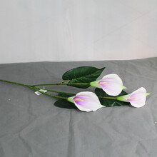 高枝 高枝马蹄莲  家居饰品 高卉装饰 粉红色