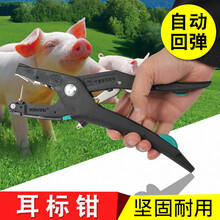 其六兽用耳标钳母猪耳号钳猪用打耳标的钳子牛德国自动猪耳标钳羊用针 自动回弹钳【送2配件】
