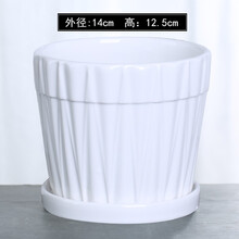 陶瓷花盆特价清仓大号中号简约办公室绿萝吊兰文竹榕树室内多肉家用绿植白色盆个性桌面批发 55349白 中等