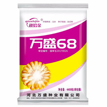 美农汇 玉米种子金海5号饲料大棒玉米籽郑单958种高产万盛68抗病抗倒伏白轴红轴黄粒杂交高产大田种籽 万盛68袋装4500粒 袋