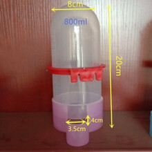 鸽子用品用具水壶双口导水器信鸽用品鸟用鹦鹉自动饮水器喂水鸽具 800ml喂食器1个