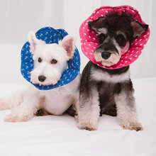 Touchdog它它伊丽莎白圈软猫咪套头罩狗狗头套防咬舔宠物脖套颈圈 TDST0078G 玫红 M