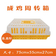 鸡笼子塑料小鸡笼家用笼子家禽转运笼鸡笼鸭笼成鸡运输周转箱鸡筐 8.8斤加厚加强型黄色 XL-超大型