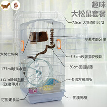 松鼠笼子金花松鼠笼黄山蜜袋鼯笼子龙猫笼飞鼠笼子 魔王松鼠笼子 趣味大松鼠套餐