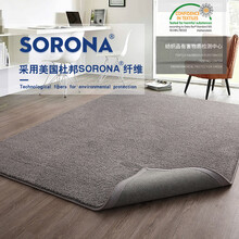 美国杜邦SORONA纤维地毯客厅卧室防滑地毯床边毯加厚高密度办公室地毯欧式大沙发茶几地毯儿童爬行垫子 加厚升级款（灰色）2000g/㎡ 200cm*300cm