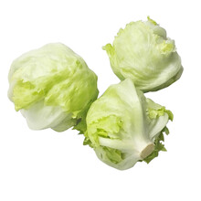 种菜记 生菜种子玻璃生菜 结球生菜大速生菜辛普森精英生吃沙拉阳台园艺有机盆栽盆栽四季蔬菜种籽 小菜园用结球生菜5克