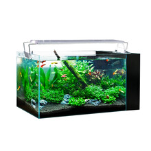 SEA STAR鱼缸客厅小型 家用乌龟缸子弹头水族箱水陆缸装饰金鱼生态草缸 800C照明套餐(PVC80K)