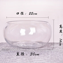 正画办公室风水小鱼缸加厚透明玻璃乌龟缸客厅家用桌面圆形迷你小型招财金鱼活体缸观赏锦鲤鱼活体 30号 鼓缸 送赠品5件套