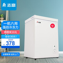 志高（CHIGO）小冰柜家用冷冻小型迷你冷藏保鲜商用卧式冷柜单用一级节能柜储母乳 42A108【年度推荐 全国联保】