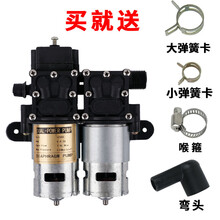 农用电动喷雾器水泵高压大功率12V马达喷雾器农用电动超高压水泵隔膜泵 双泵+4配件