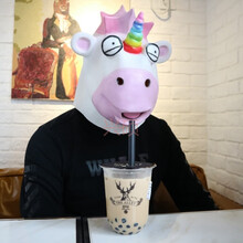 动物马头面具头套 哈士奇狗猩猩面具酒吧cos搞笑驴头抖音表演道具 可爱独角兽【墨镜】