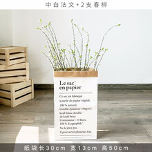 迷妆 北欧ins文艺牛皮纸袋家居饰品花艺收纳袋花篮花盆装饰品摆件 中白法文+2支春柳