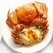 【活蟹】巨蟹汇螃蟹鲜活大闸蟹现货水产礼盒 六月黄 不分公母 1.1-1.4两 10只