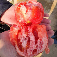 寿禾 粉果番茄种子老品种大果粉冠/番茄苗毛粉西虹市西红柿苗高产冬季春季洋柿子盆栽蔬菜苗种苗种籽四季 寿禾粉冠番茄种子 100粒原装