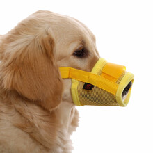 迪普尔  狗狗嘴套宠物安全防咬嘴罩套嘴防叫止吠乱吃小中型犬口罩泰迪用品 黄色M：建议10~18斤 *
